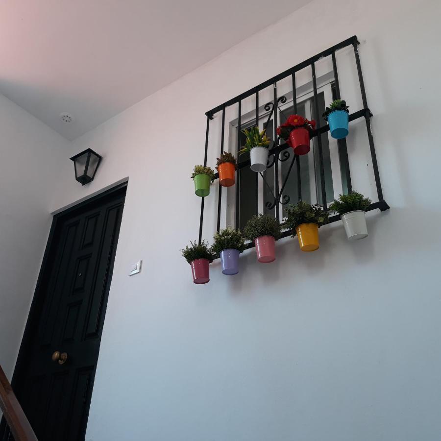 카디스 Atico Soleado 아파트 외부 사진